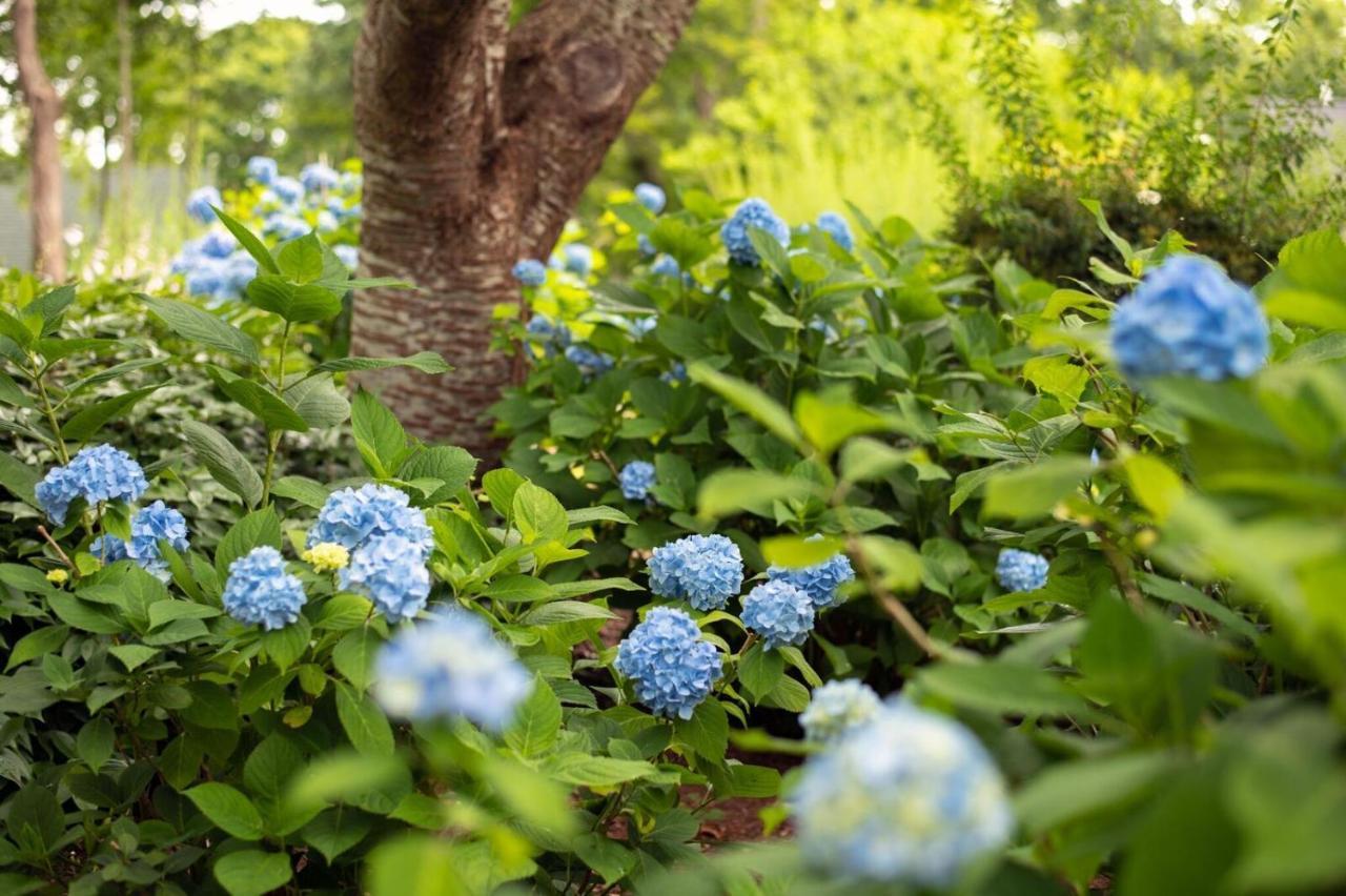 Palmer House Inn 팔머스 외부 사진